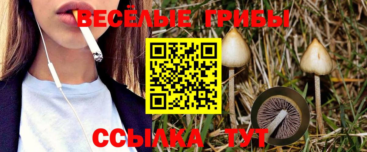 Галлюциногенные грибы Magic Shrooms Добрянка