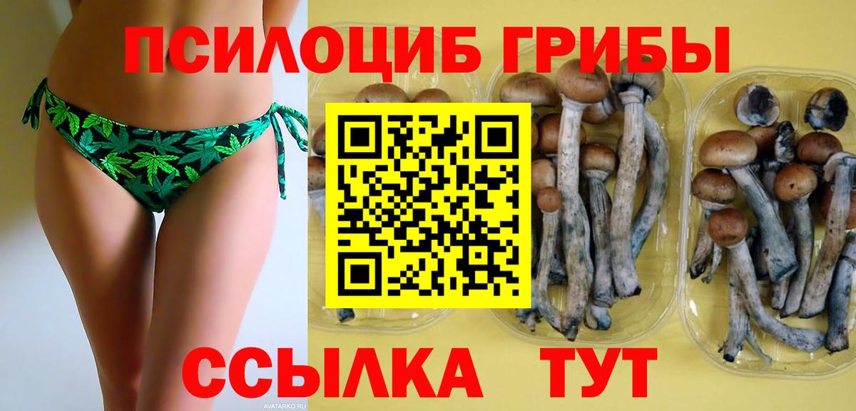 Галлюциногенные грибы Magic Shrooms  купить  сайты  Вход с VPN  Добрянка  Галлюциногенные грибы ЛСД 